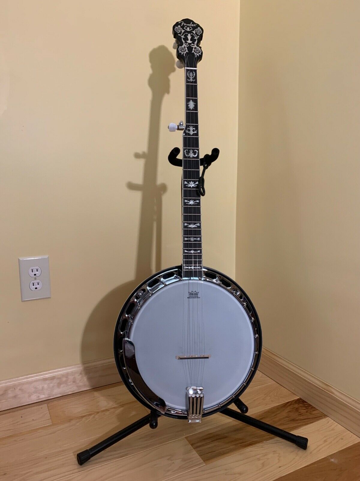 Fender Fb 58 Banjo 5 String New With Case