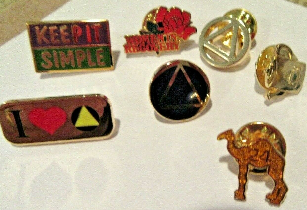 Alcoholics Anonymous Aa Symbols Lapel Hat Vest Pin Recovery Sobriety Sober 7 Lot